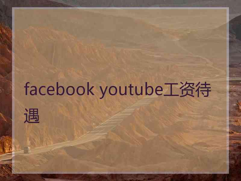 facebook youtube工资待遇