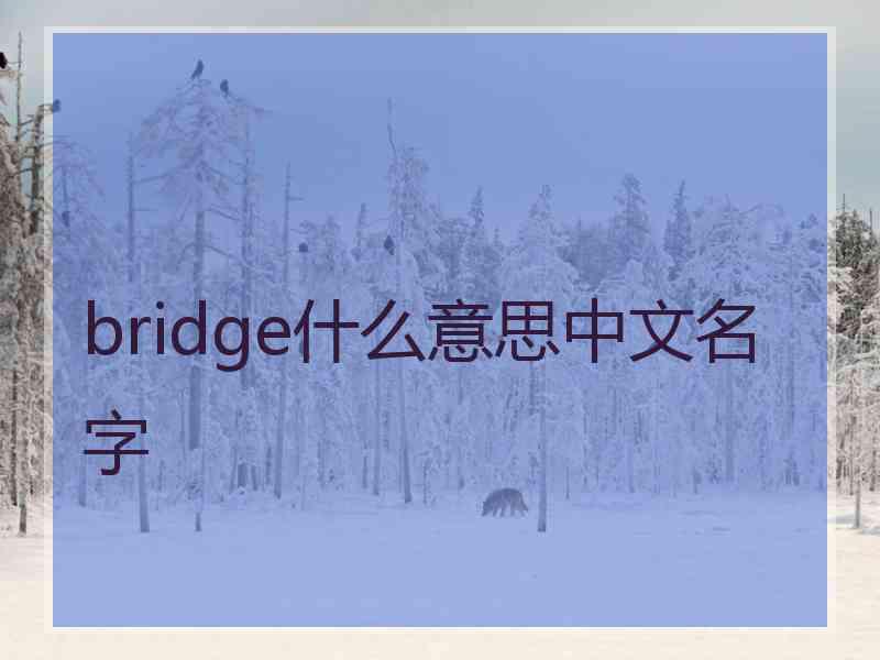 bridge什么意思中文名字