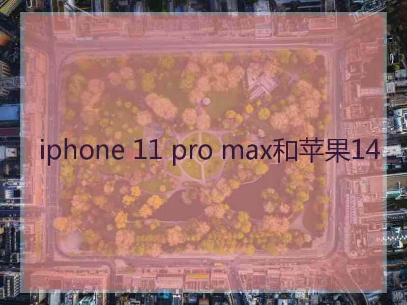 iphone 11 pro max和苹果14