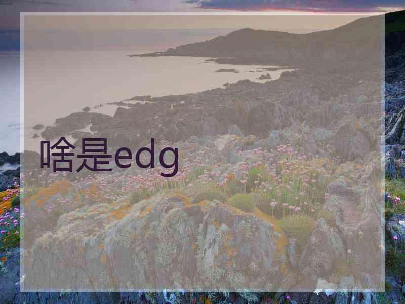 啥是edg