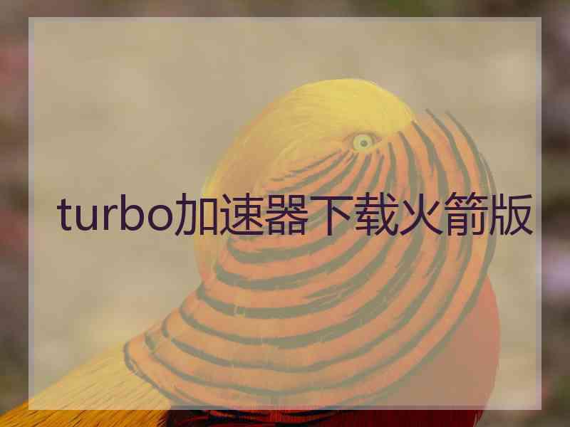 turbo加速器下载火箭版