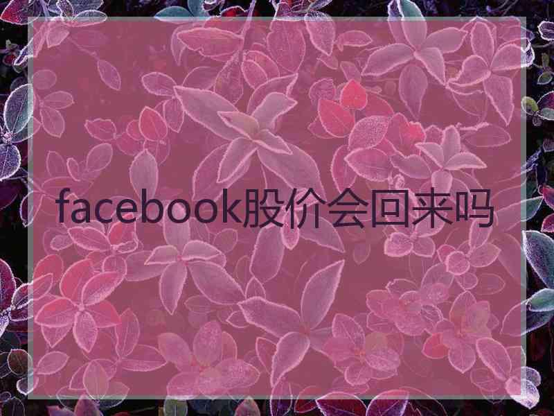 facebook股价会回来吗