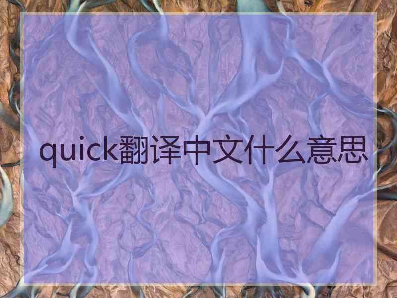 quick翻译中文什么意思