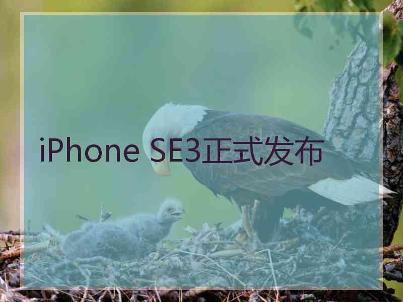 iPhone SE3正式发布