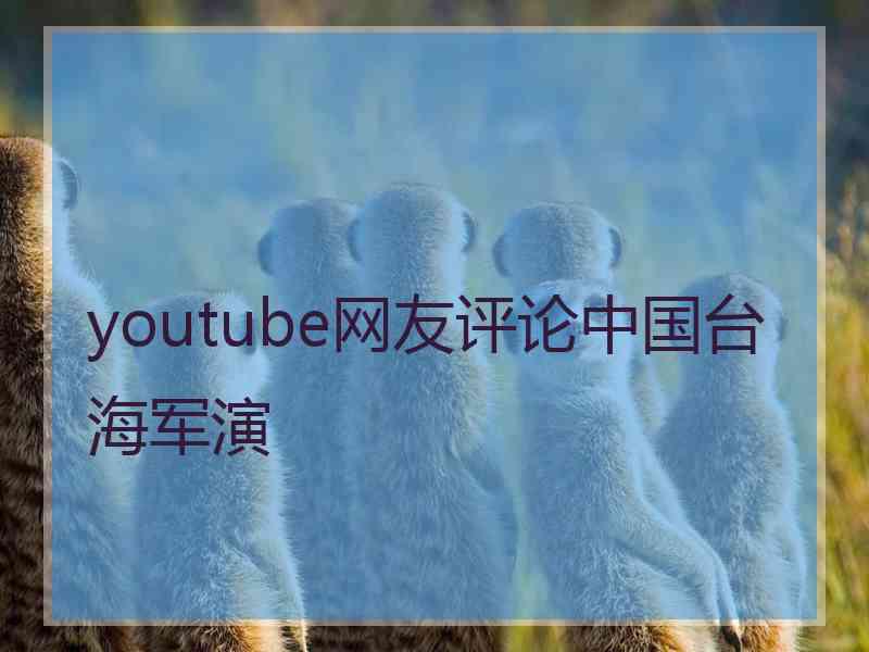 youtube网友评论中国台海军演