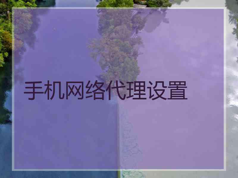 手机网络代理设置