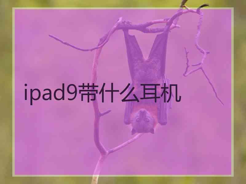 ipad9带什么耳机