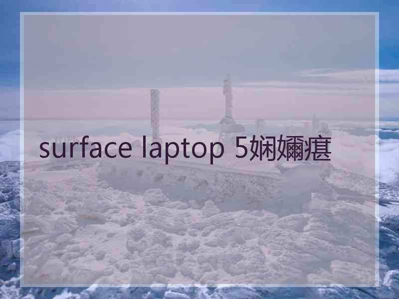 surface laptop 5娴嬭瘎