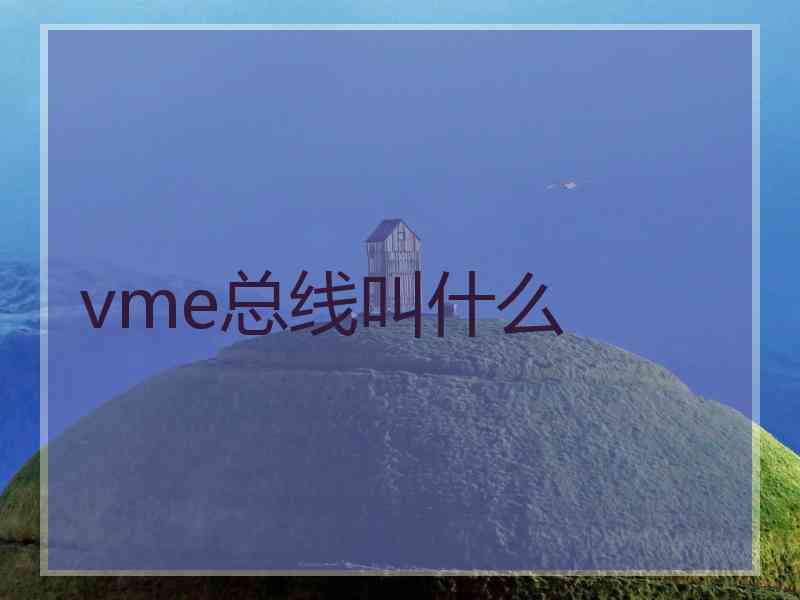 vme总线叫什么