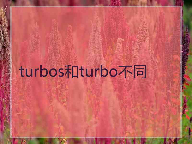 turbos和turbo不同