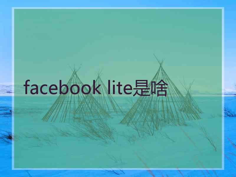 facebook lite是啥