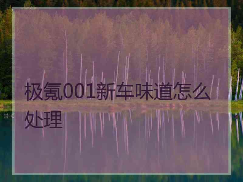 极氪001新车味道怎么处理