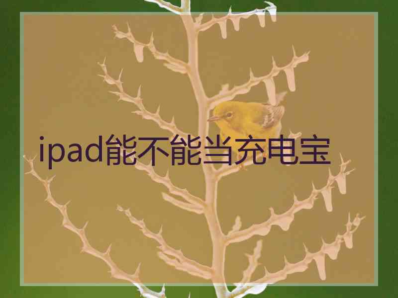 ipad能不能当充电宝