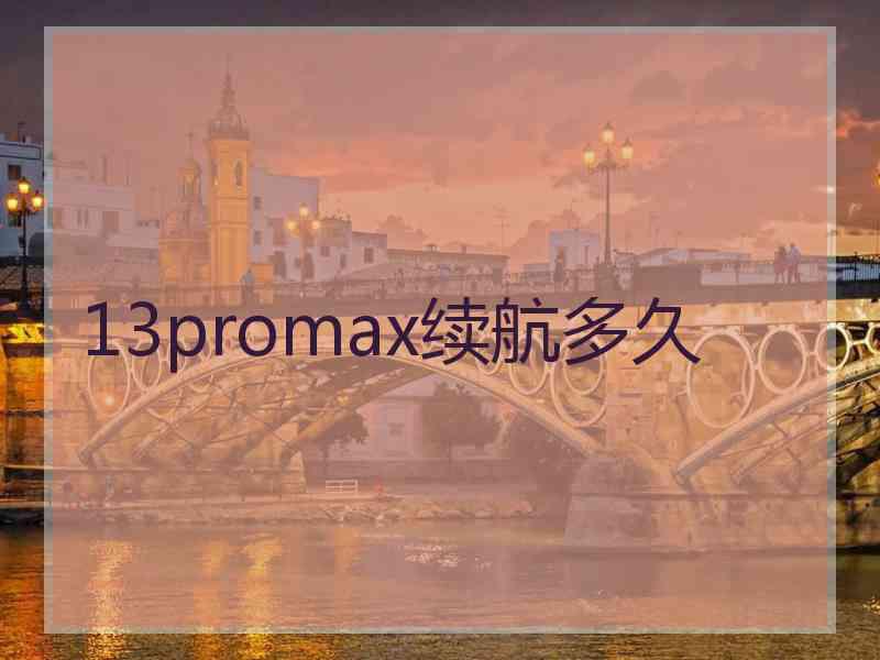 13promax续航多久