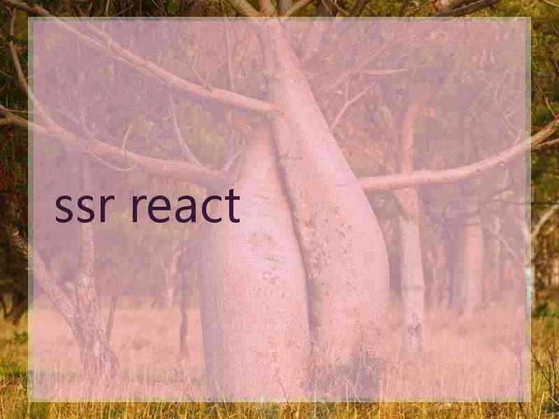 ssr react