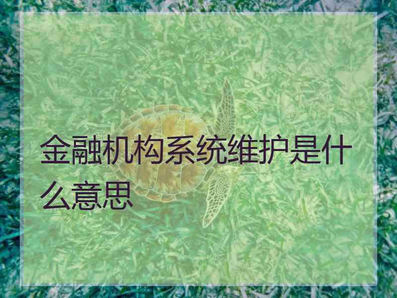 金融机构系统维护是什么意思