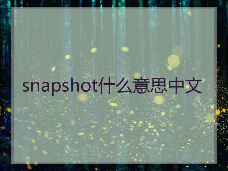 snapshot什么意思中文