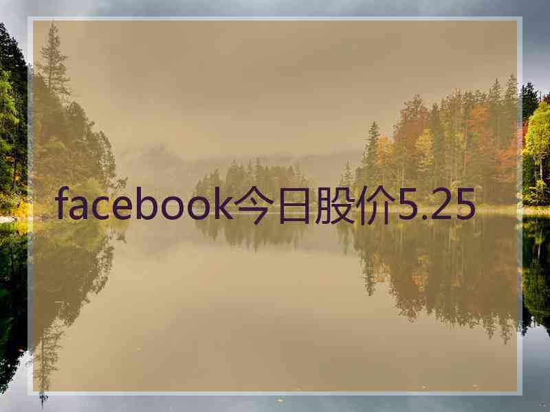 facebook今日股价5.25