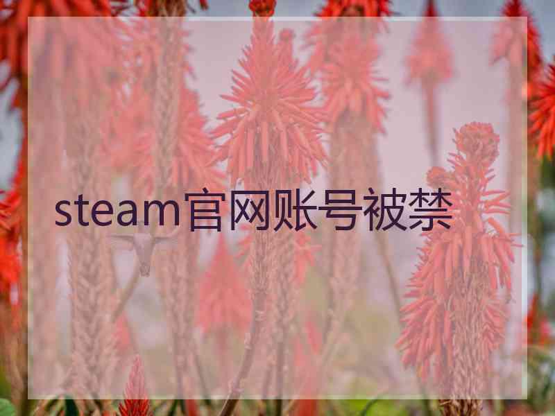 steam官网账号被禁