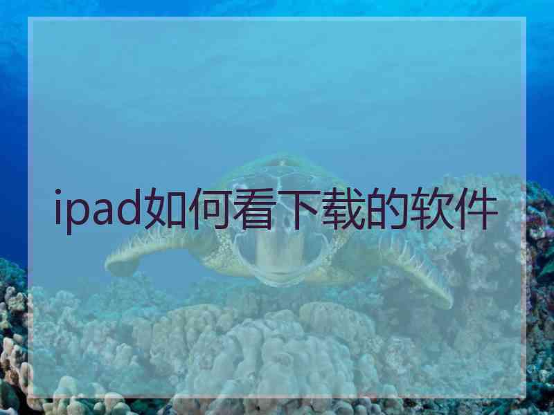 ipad如何看下载的软件