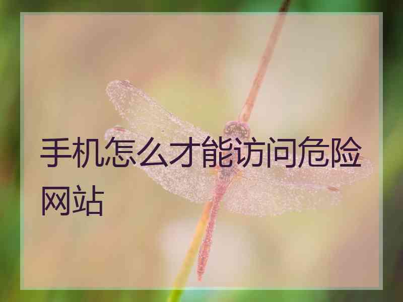 手机怎么才能访问危险网站