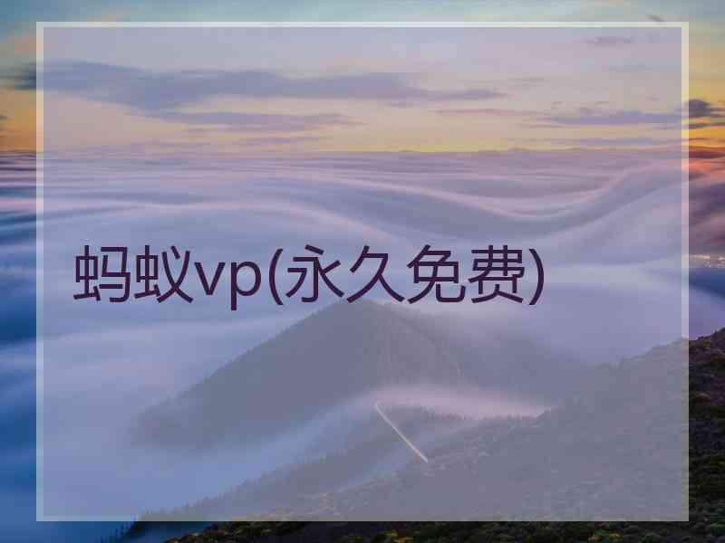 蚂蚁vp(永久免费)