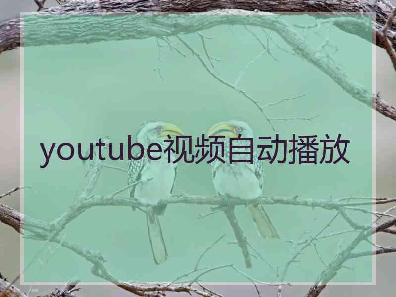 youtube视频自动播放