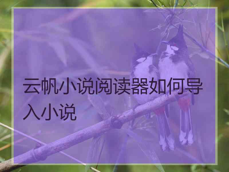 云帆小说阅读器如何导入小说