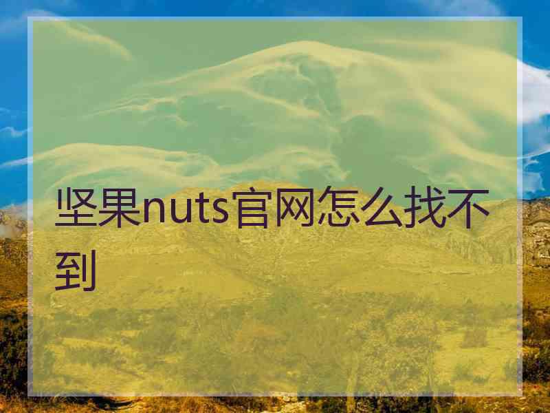 坚果nuts官网怎么找不到