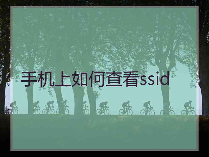 手机上如何查看ssid