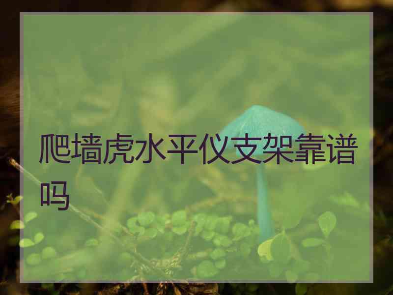 爬墙虎水平仪支架靠谱吗