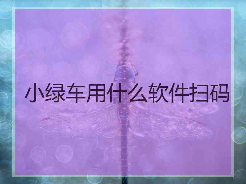 小绿车用什么软件扫码