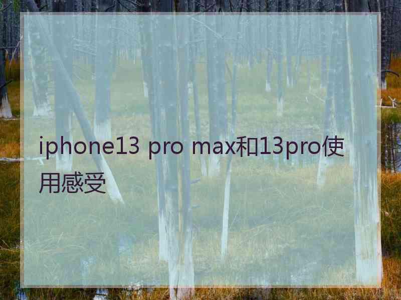 iphone13 pro max和13pro使用感受