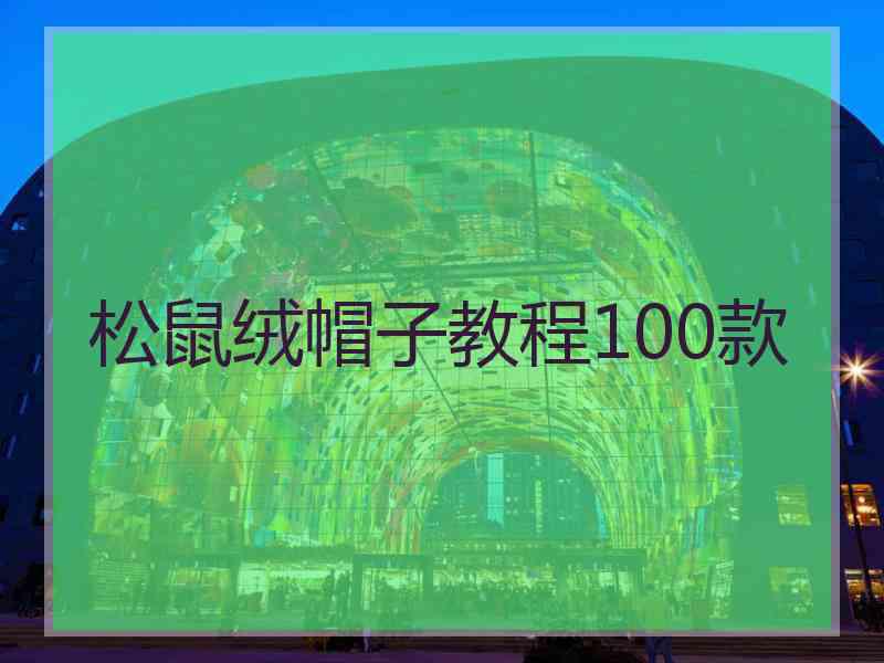 松鼠绒帽子教程100款