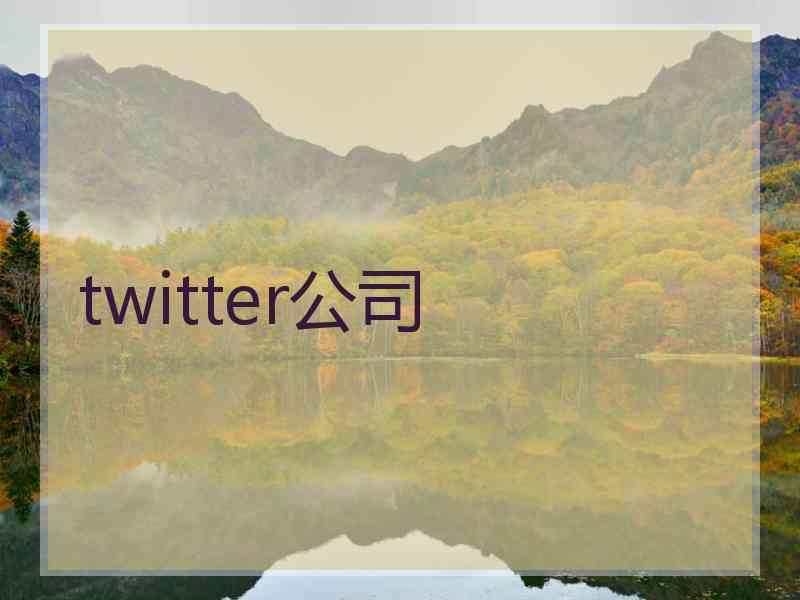 twitter公司