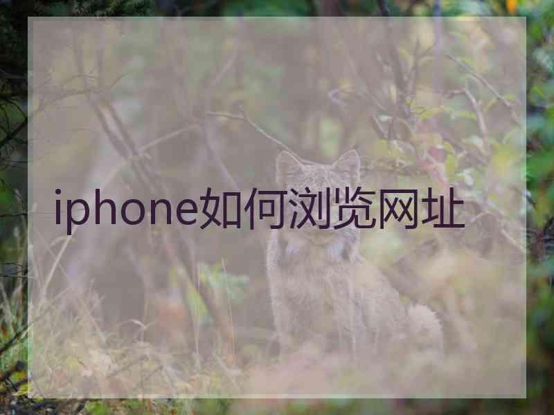 iphone如何浏览网址