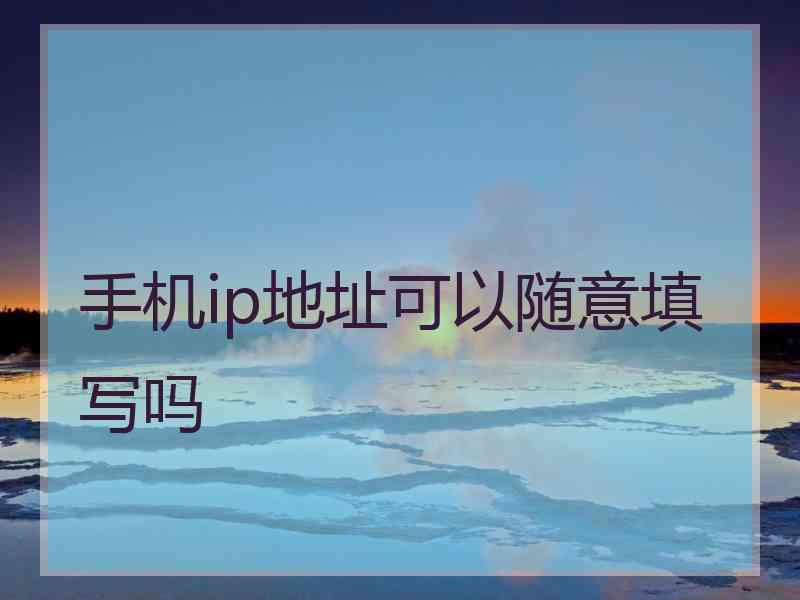 手机ip地址可以随意填写吗