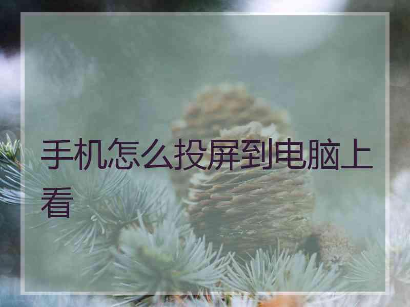 手机怎么投屏到电脑上看