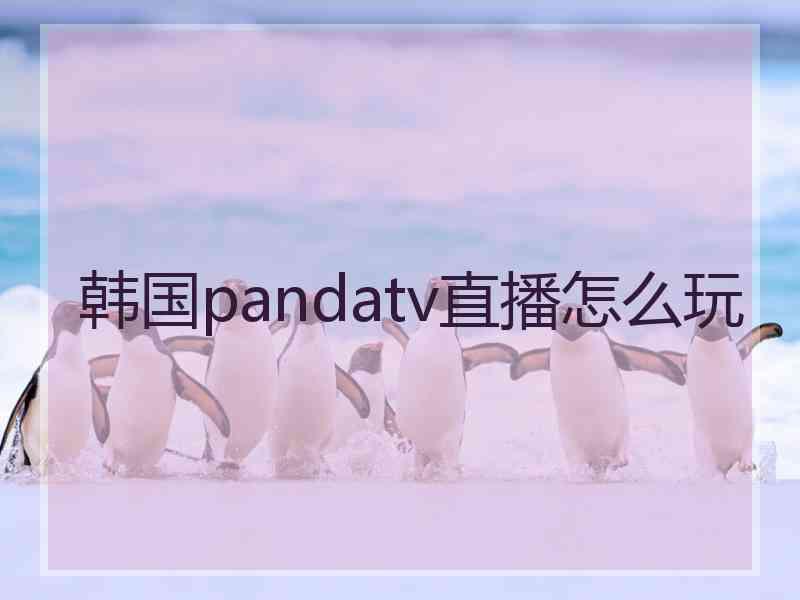 韩国pandatv直播怎么玩