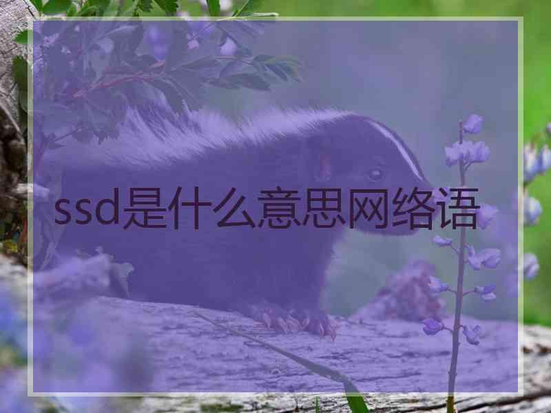 ssd是什么意思网络语