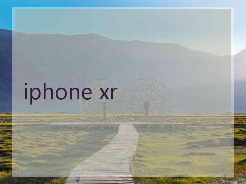 iphone xr