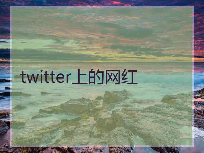 twitter上的网红