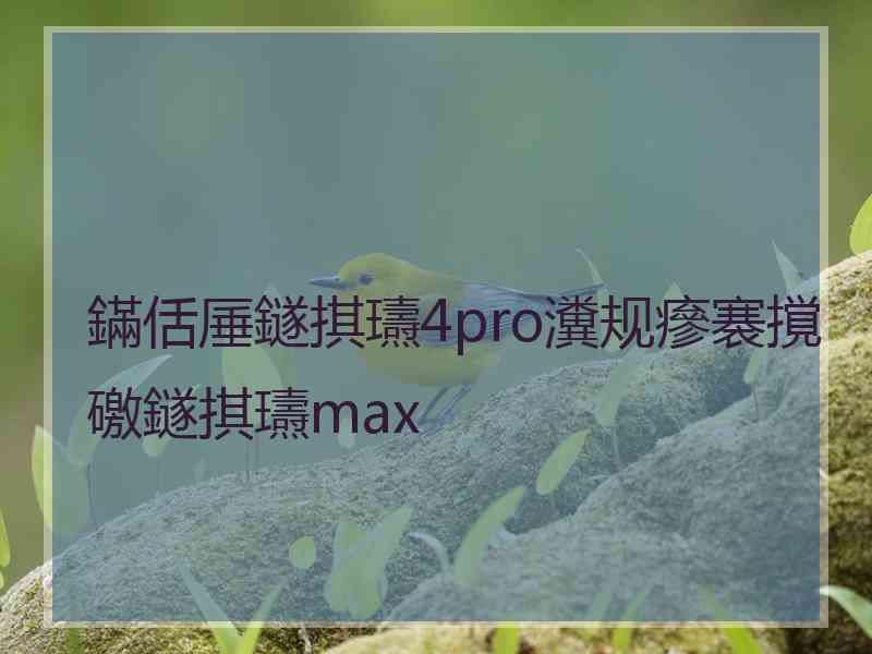 鏋佸厜鐩掑瓙4pro瀵规瘮褰撹礉鐩掑瓙max