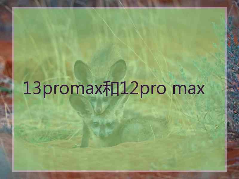 13promax和12pro max