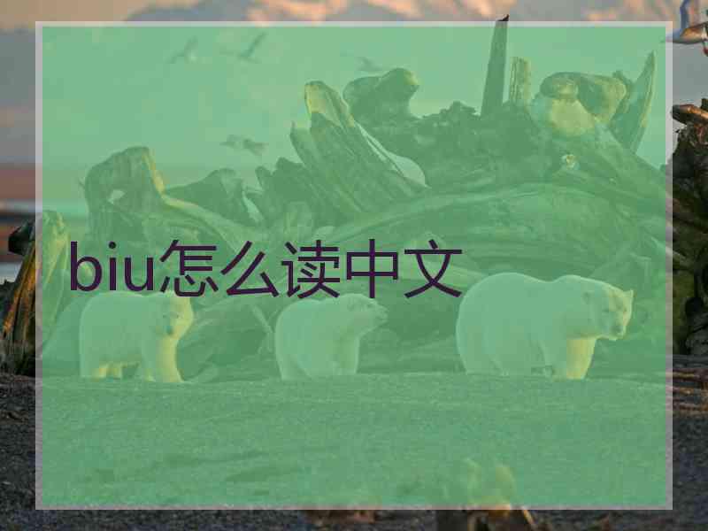 biu怎么读中文