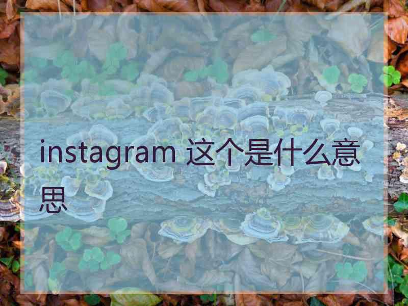 instagram 这个是什么意思