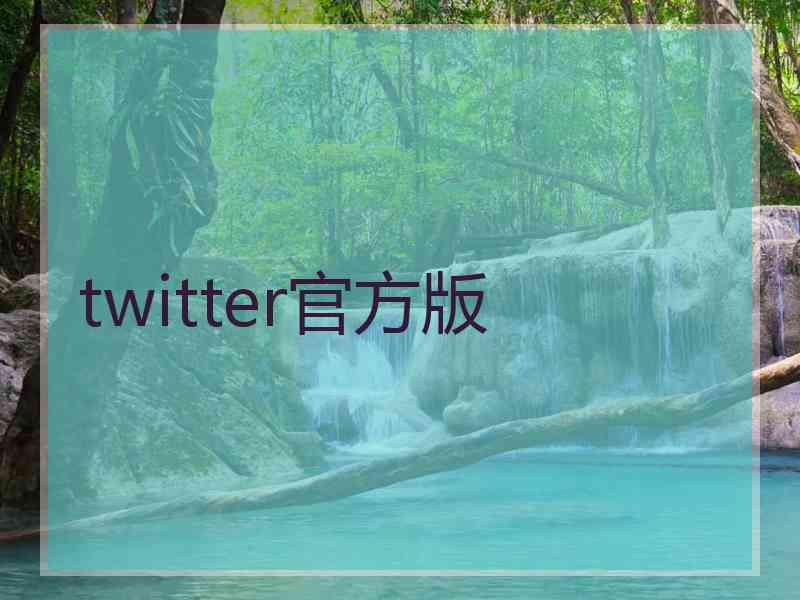 twitter官方版