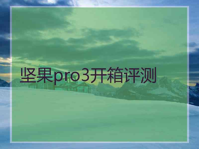 坚果pro3开箱评测