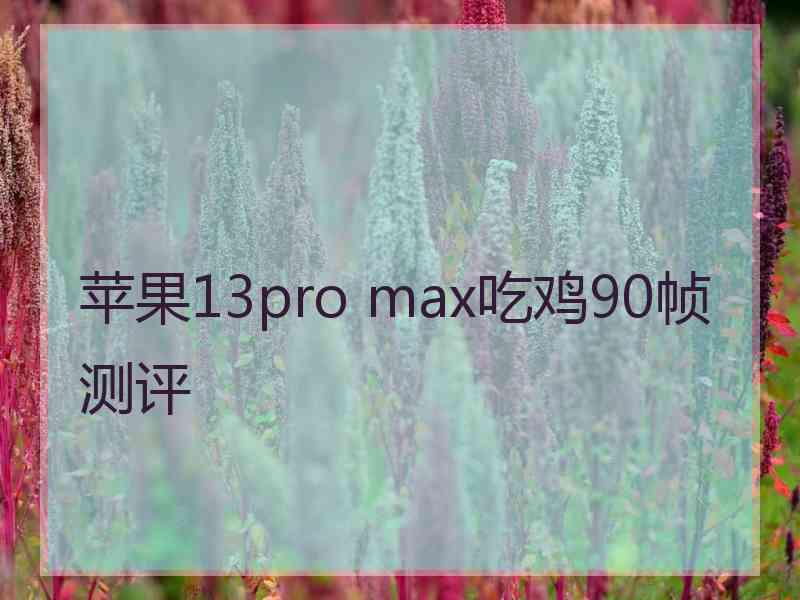 苹果13pro max吃鸡90帧测评