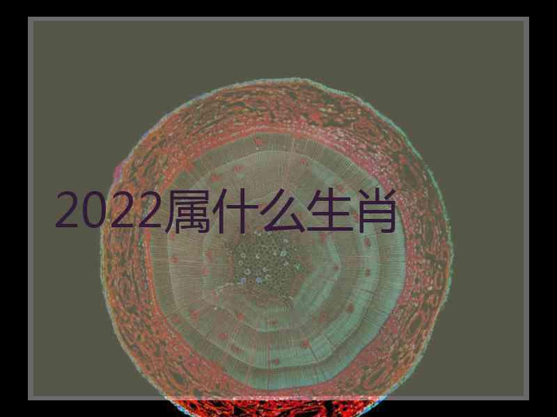 2022属什么生肖